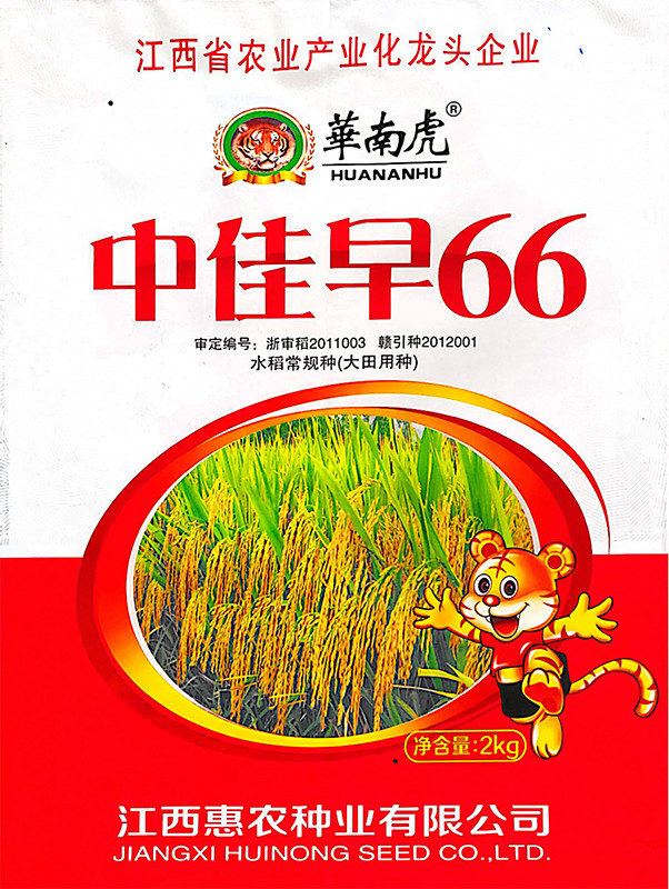 中佳早66